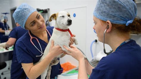 In addition, they earn an average bonus of 1,190. . Pet technologist salary